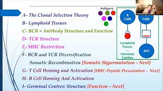 2 Adaptive immunity [upl. by Granny]