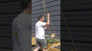 Part 1 Tuto de structures en bambou pour faire de lombre au potager⏐ Dr Jonquille et Mr Ail [upl. by Koorb]