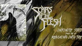 Scars of the Flesh  Infinite Static Official Stream Video [upl. by Enaira315]