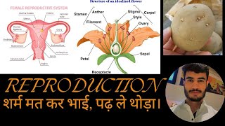 Reproduction in Plants JKSSB JKpolice SSC  CDS AFCAT [upl. by Bilak591]