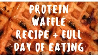 Full Day of Eating  PROTEIN WAFFLE RECIPE [upl. by Tollmann]