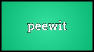 Peewit Meaning [upl. by Aleuqahs775]