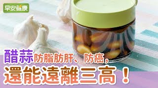 醋蒜防脂肪肝、防癌，還能遠離三高！【早安健康】 [upl. by Gussie]