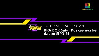 Tutorial ePlanning  Penginputan RKA BOK Salur Puskesmas 2024 ke SIPDRI [upl. by Zeculon]