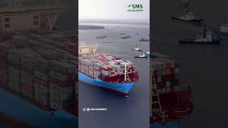 Maersk tăng tốc đầu tư tại Việt Nam – Ngành nào sẽ được hưởng lợi [upl. by Kelula]