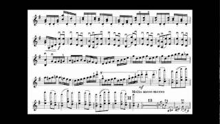 Tsjaikovski PI mvt3 violin concerto [upl. by Farlee292]