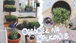 Ekologiczny ogródek na balkonie  Skrzynia z palet  Vlog  Mój EKOdom [upl. by Edea]