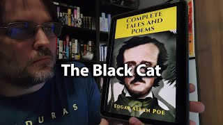 The Black Cat  Edgar Allen Poe  Audiobook [upl. by Ylhsa]