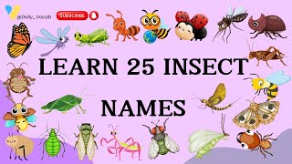 Learn About Insects  Fun Animal Facts for Kids learning animals insects ant bee butterfly [upl. by Ahsieyk]