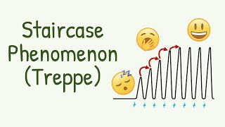 How the Muscles SLOWLY WAKE UP from quotSleepquot  Staircase Phenomenon or Treppe in Muscle Contraction [upl. by Jammin]