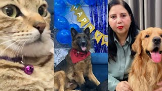 Vlog 113 aapke support ki jarurat h 1k 🌹Drama ho gya ghar main 🥹 dog  videos  trending  YouTube [upl. by Reppart550]