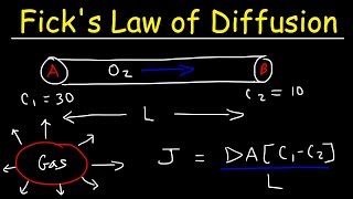 Ficks Law of Diffusion Concentration Gradient Physics Problems [upl. by Sharon]