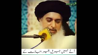 deenislam khadimhussainrizvi islamicstatus [upl. by Nibram]