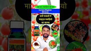 Corteva Magistar मकड़ी नाशक दवा  Miticide  Acaricide  Mites control insecticide shorts farming [upl. by Hoxie326]