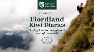 Fiordland Kiwi Diaries Episode 1  Kiwi monitoring in remote New Zealand wilderness [upl. by Anileve]