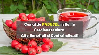 Ceaiul de PADUCEL in Bolile Cardiovasculare Alte Beneficii si Contraindicatii [upl. by Fulton877]