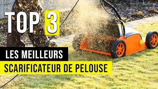 🥇 Le Meilleur Scarificateur de Pelouse  Comparatif  TOP 3 [upl. by Sharman]