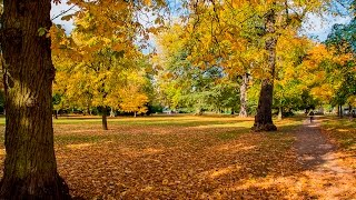 Pittville Park Cheltenham  Autumn Colours  2015 [upl. by Rafiq638]