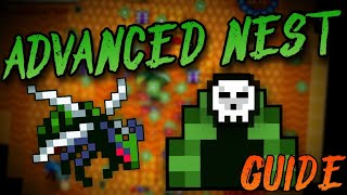 Advanced Nest Guide Rotmg [upl. by Tomkins]