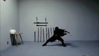 Challenge the first speed record of swordsmanship [upl. by Corie]