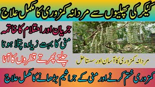 Kikar Ki Phali Ke Fayde  Amazing Benefits Of Acacia Seed  Keekar Acacia Tree Benefits In Urdu [upl. by Trixi]