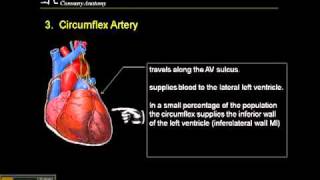 1215 Lead ECG Coronary Anatomy Part 3 [upl. by Anerres]