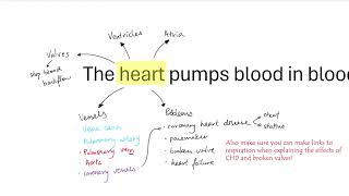 AQA GCSE  B414 Human circulatory system OVERVIEW [upl. by Falcone163]