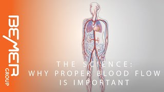 Blood Flow Circulation System Science amp Importance [upl. by Noirret]