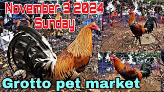 November 3 2024 Sunday  Grotto pet market [upl. by Beeson559]