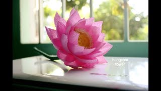 How to make Lotus flower from crepe paper [upl. by Aikrahs703]