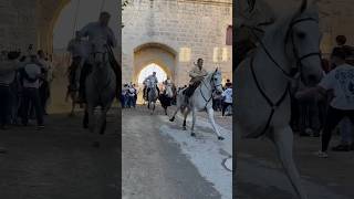 Bandido manades Vinuesa Aubanel du Levant et Lafon à Aigues Mortes [upl. by Leland115]