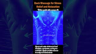 Back Massage for Stress Relief and Relaxation [upl. by Ahsiek]