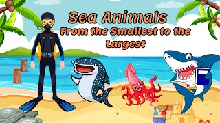 Sea Animals From the Smallest to the Largest English Educational Video animals animalsvideo sea [upl. by Ontine]