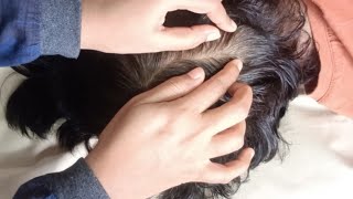 ASMR  Super Comfortable Scalp Care Relaxation and Sleep 😴😴 224 [upl. by Ume]