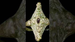 1000 Yr Old Pictish ring tells us about ancient Scottish culture archaeologyfinds archaeology [upl. by Neelhtak]