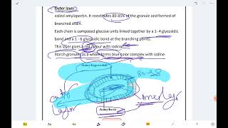 polysaccharides Dr Master [upl. by Haelak]