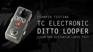 TC Electronic DITTO Looper Guitar Pedal Sound Demo  Test [upl. by Toffey]