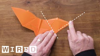 How to Fold Five Incredible Paper Airplanes  WIRED [upl. by Fougere]