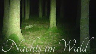 Nachts im Wald  Gefahren Kopfkino Tipps  Übernachtung Teil 1 [upl. by Hairej]