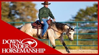 Clinton Anderson Reining [upl. by Rosenbaum]