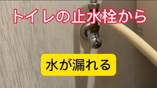 トイレの止水栓から水が漏れる パッキン交換 [upl. by Lemra]