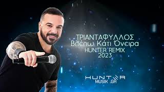 Τριαντάφυλλος  Βλέπω Κάτι Όνειρα HUNTER REMIX [upl. by Phionna]