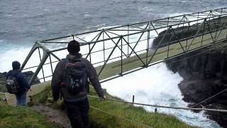 Trip to Mykines with the Faroese Ornithological Society [upl. by Nire]