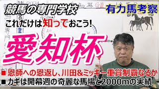 【愛知杯2024】有力馬考察 中心視してる馬と好走可能な穴馬 [upl. by Acnayb834]