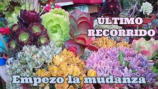 FIN DE NUESTRO JARDIN empezamos la mudanza mudanza suculentas cactus [upl. by Adiaj403]