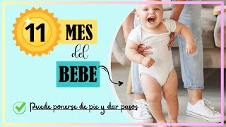 1️⃣1️⃣ ONCE MESES DEL BEBE 👶  11 MESES  Pueden ponerse de Pie y Dar Pasos [upl. by Frost]