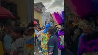 CHINELOS TLAYACAPAN MORELOS BANDA TROMBA [upl. by Westberg]