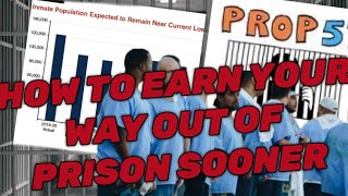 HOW TO GET OUT OF PRISON EARLYmilestones and rack credits to take off up to 10 months off a year [upl. by Eelam]