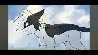 Swiftpaw and Brightpaw edit warriorcats fypシ゚ brightheart swiftpaw [upl. by Magen491]