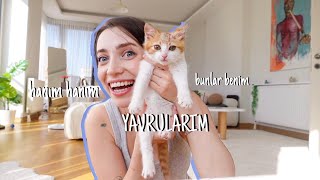 ben artık ana oldum  minivlog🐱 [upl. by Eatnom851]